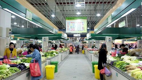 路橋食光 共享美味，打造農產品批發新生態