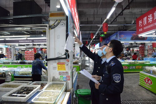 “守夜人”護(hù)民生 武清區(qū)市場(chǎng)監(jiān)管局開展五一節(jié)前農(nóng)貿(mào)市場(chǎng)集中夜查行動(dòng)